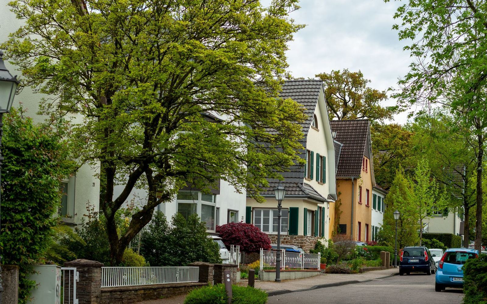 A quiet tree-lined residential street with historic homes